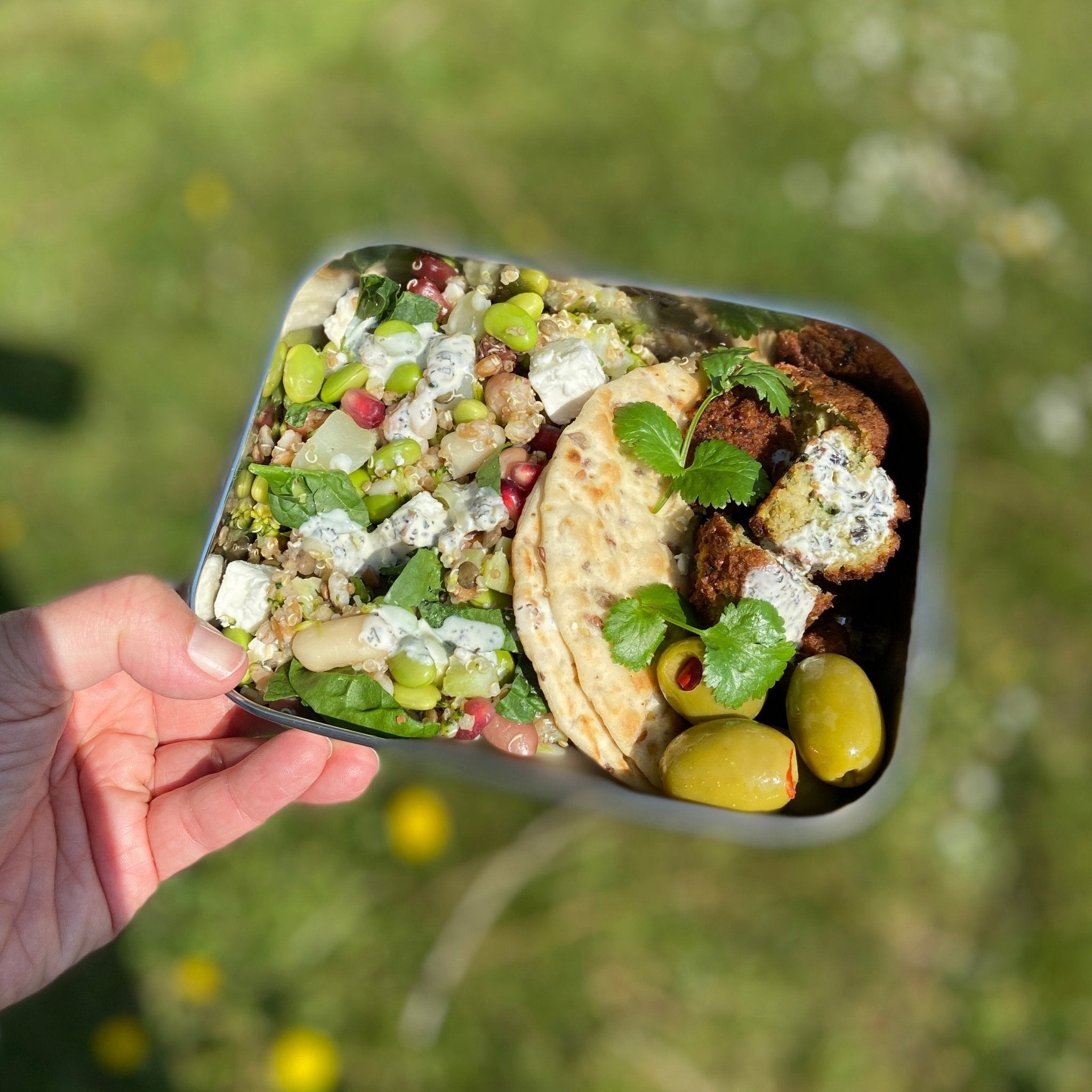 Adoni - Leak Resistant Lunch Box – A Slice of Green