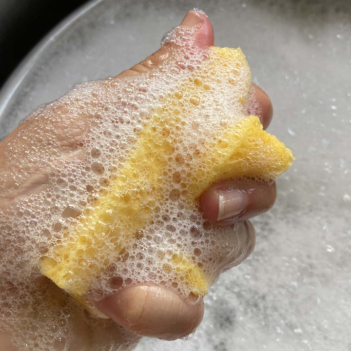 Cellulose Sponges - Unpackaged - Green Tulip