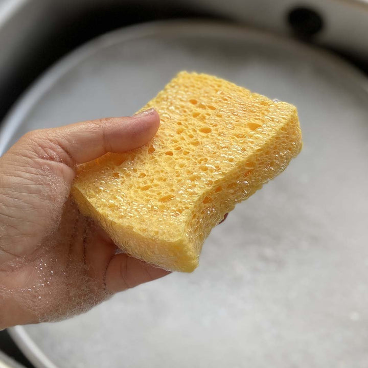 Cellulose Sponges - Unpackaged - Green Tulip
