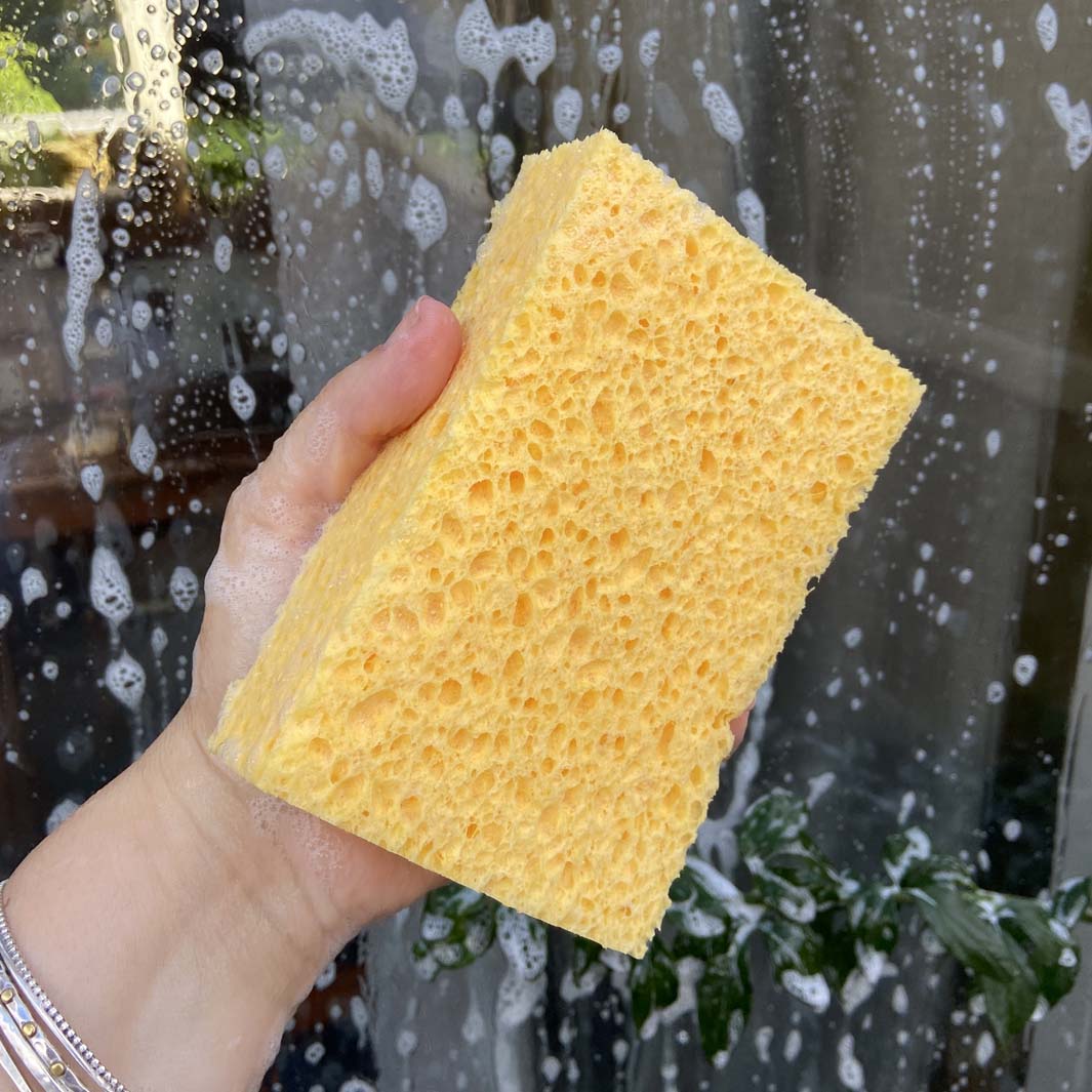 Cellulose Household Sponge